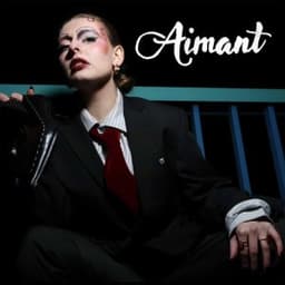 Aimant - NAJE