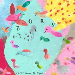 Never Turns To Night - Bory