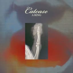 A Ring - Catcase